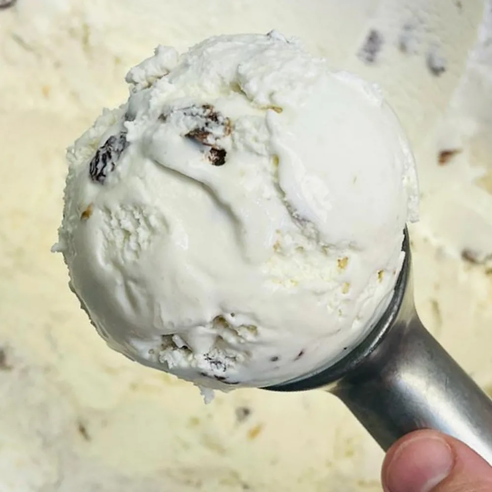 Rum Raisin ice cream